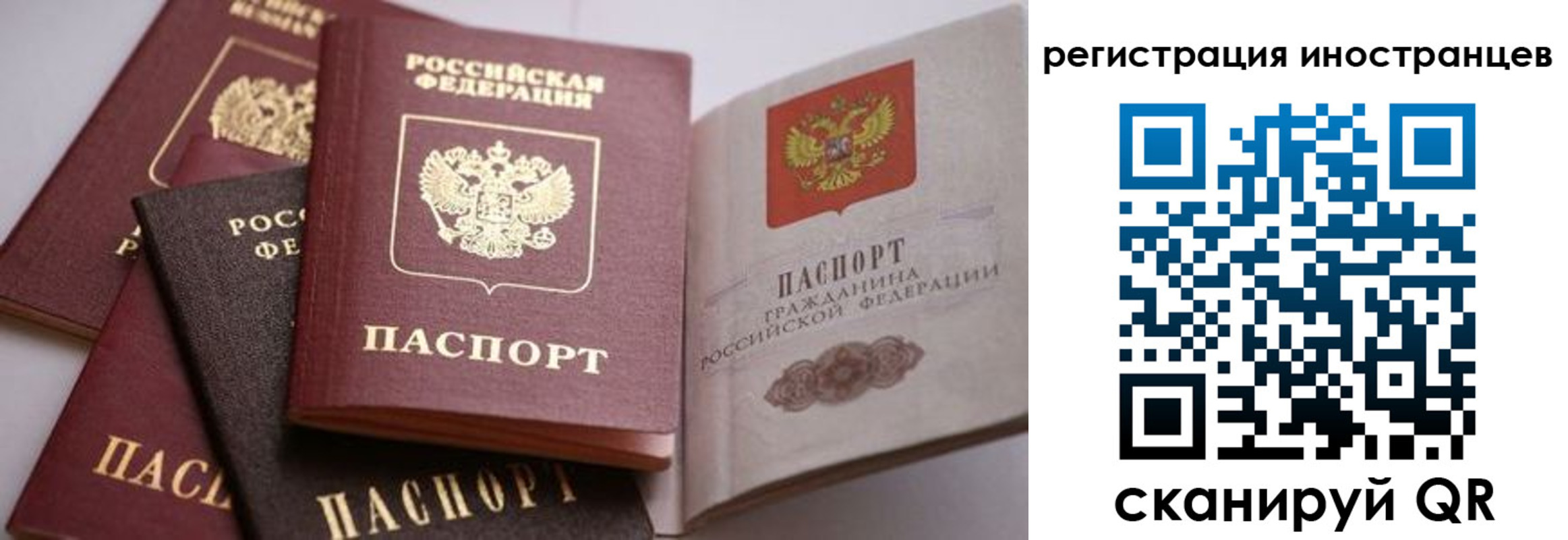 прописка штамп в Ярославской области